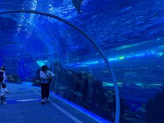 -成都浩海立方海洋公园