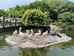 -大连老虎滩海洋公园