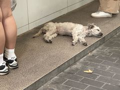 -章云板鸭(总店)