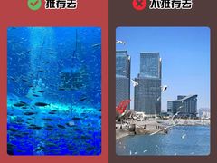 -日照海滨国家森林公园