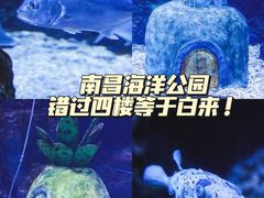 -南昌海洋公园