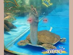 -耕渔小院·湖南鱼鲜(望城店)