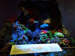 -中国湿地博物馆