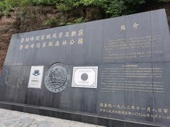 -磬锤峰森林公园