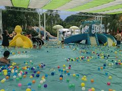 -重庆海昌加勒比海水世界