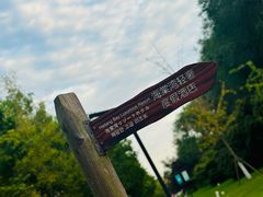 -江苏三台山国家森林公园