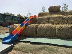 -北京鹿世界主题园