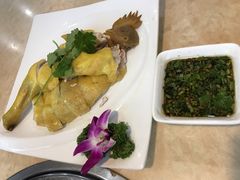 白切文昌鸡-墨脱石锅椰子鸡•香草鸭•东山羊(大东海店)