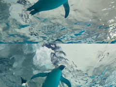-珠海长隆海洋王国