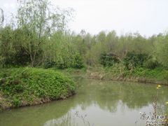 -大湾区中央湿地公园