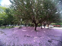 -洨河生态公园