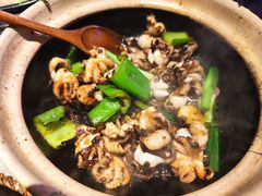 生啫八爪鱼-啫神·广州地标美食(北京路店)