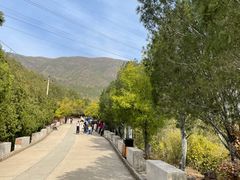 -北京十三陵国家森林公园蟒山景区