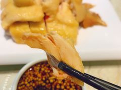 三黄鸡-南方酒店·淮扬菜(回民街店)