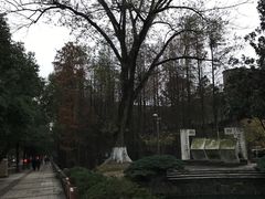 -湖南大学-第5食堂
