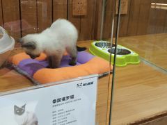 -龟与熊猫宠物公园(南坪店)