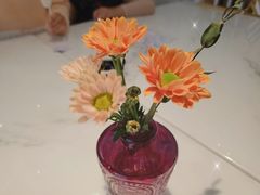 -伊斯坦布尔土耳其清真咖啡餐厅