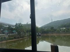 -梧桐庄园