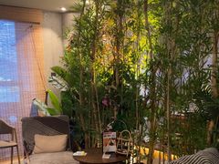 -施奈儿.洗头頭療.按摩SPA.采耳(上梅林店)