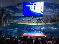 -福州罗源湾海洋世界旅游区