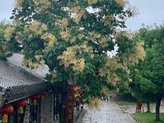 -台儿庄古城