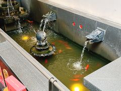 -单家老院·院子里的青岛菜(沙子口店)