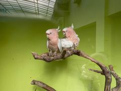 -北京野生动物园