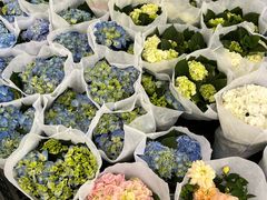 -龙大花卉苗木市场