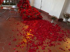 -中山路壹号传奇club·啤酒花园餐厅