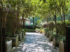 -野蔓果·山野菜(西湖景区·龙井茶田店)