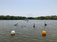 -上海野生动物园