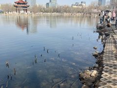 -青城公园