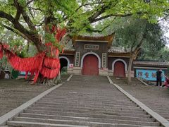 -子昂故里文化旅游区