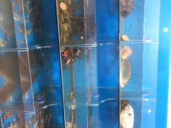 -宾朋海鲜特色美食餐厅·纯手工鲅鱼水饺(兴海路店)