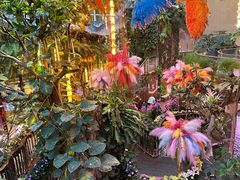 -正佳雨林生态植物园