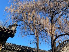 -张学良旧居陈列馆