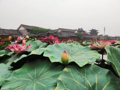 -清明上河园-迎宾门售票处