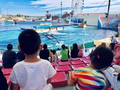 -秦皇岛乐岛海洋王国