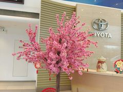 -上海和裕一汽丰田4S店(七宝店)