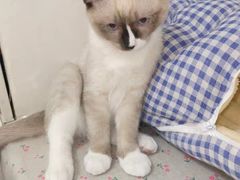 -奈雪的茶(时代天街店)