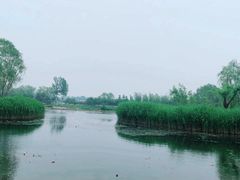 -大兴滨河森林公园