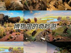 -陕西自然博物馆