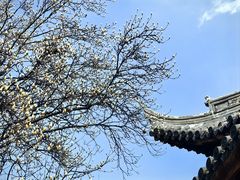 -龙华寺