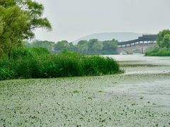 -长广溪湿地公园