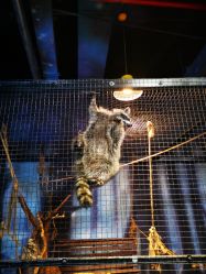 -酷嗒动物文化乐园(cutezoo西溪乐天城店)