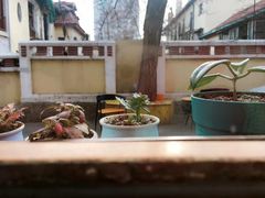 -长颈鹿咖啡(大学路店)