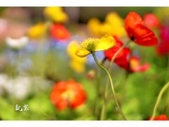 -共青国家森林公园-售票处