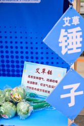 -沈阳市儿童医院