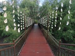-崖口红树林海鲜餐厅