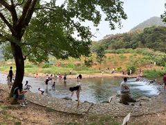 -广州市石门国家森林公园